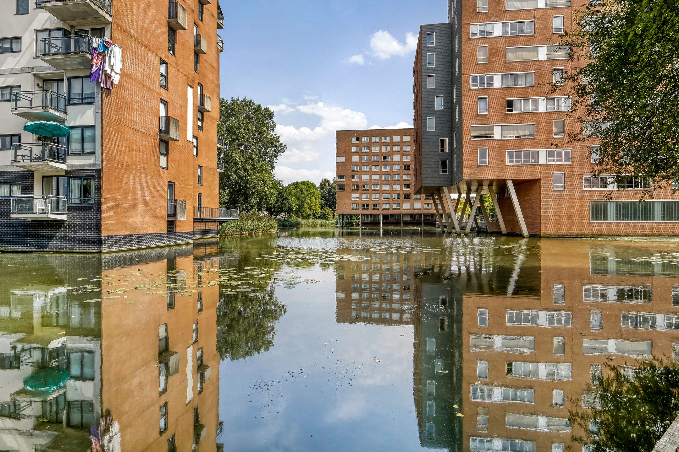 Photo 33 of Berkenplein 214