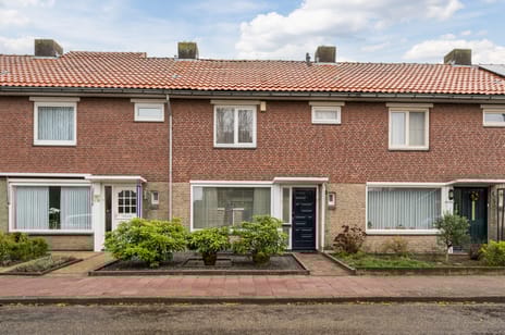 undefined main image