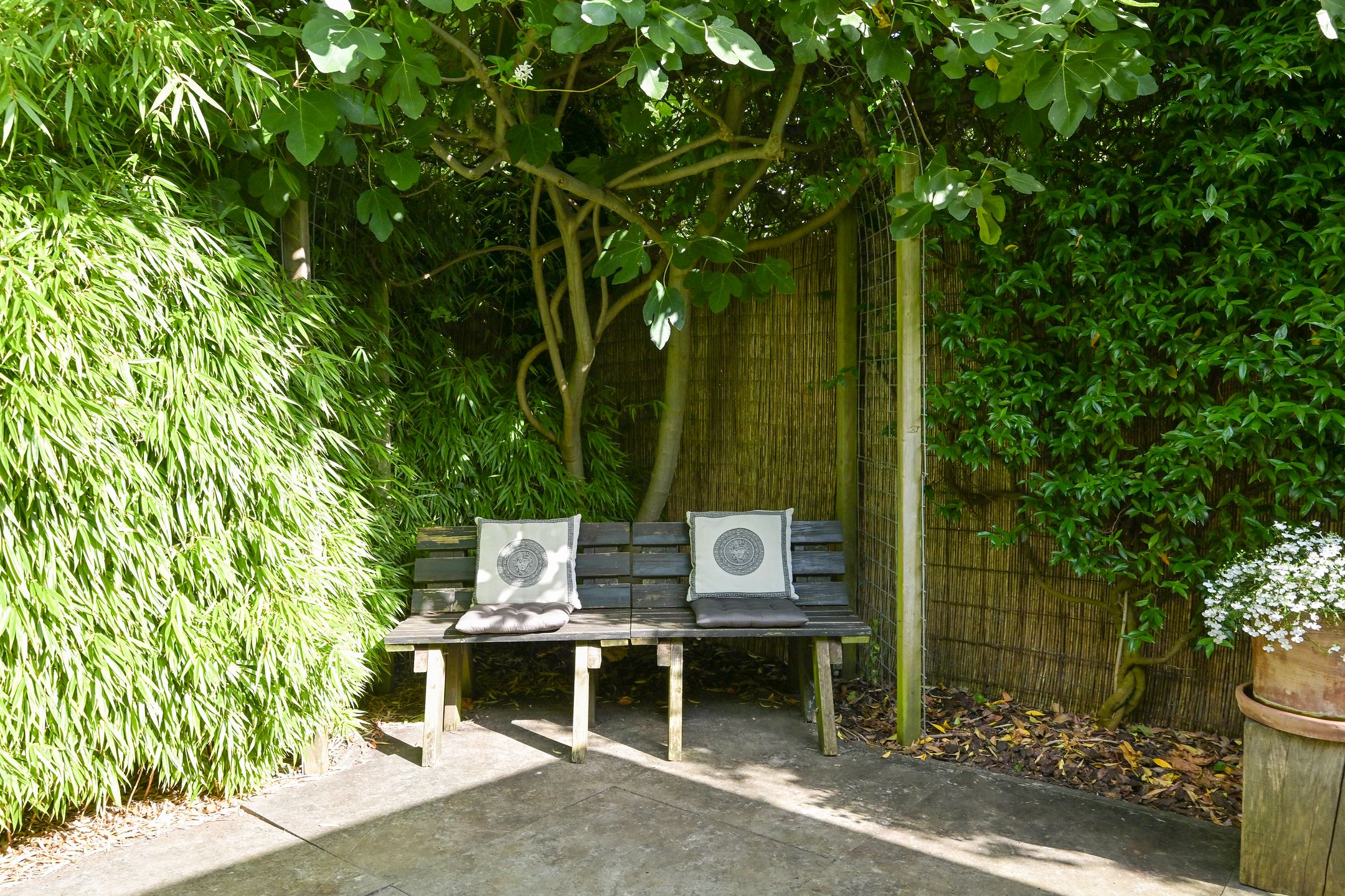 Foto 39 van Pomonaplein 89