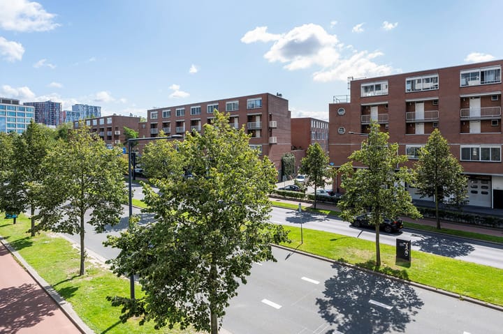 Photo 38 of Weena 911