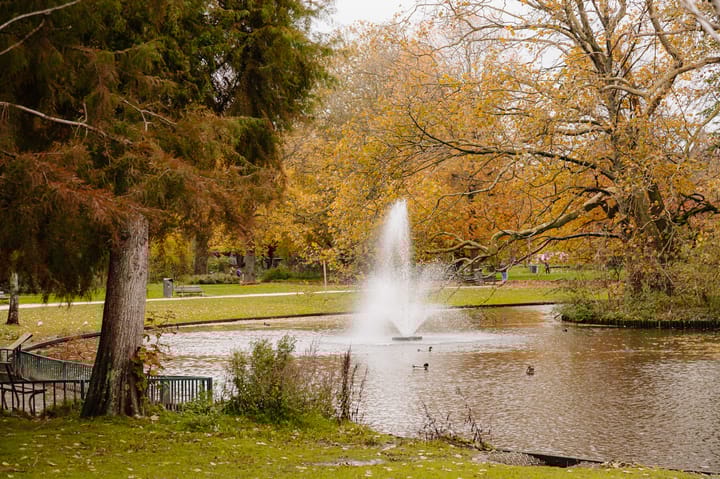 Foto 21 van Zaanstraat 143