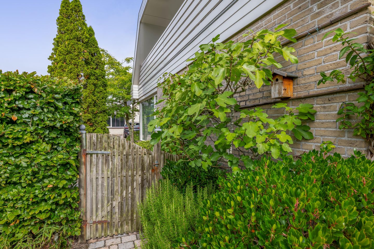 Foto 44 van Burgemeester Van Waninglaan 12