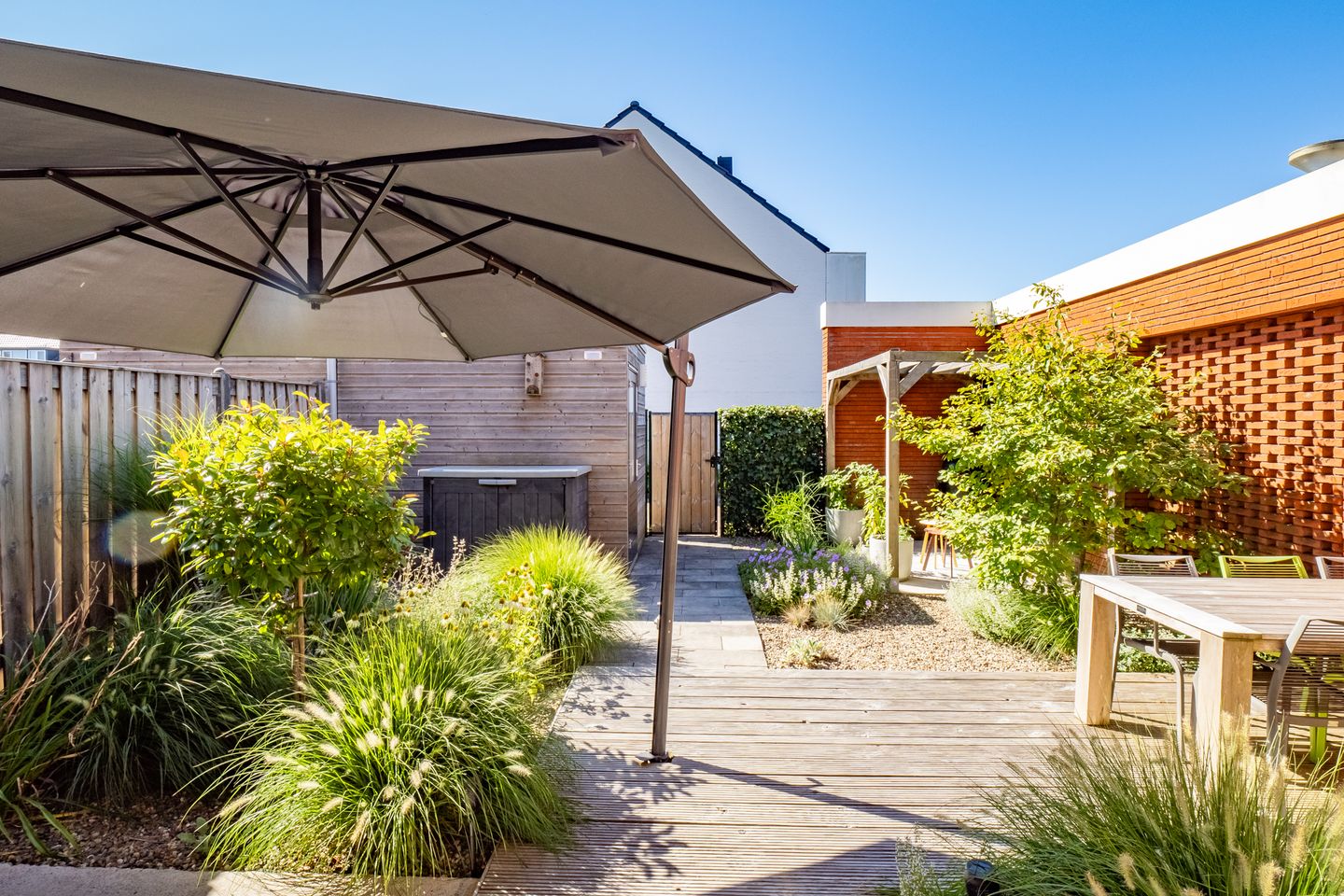 Foto 4 van Truffelzwam 1