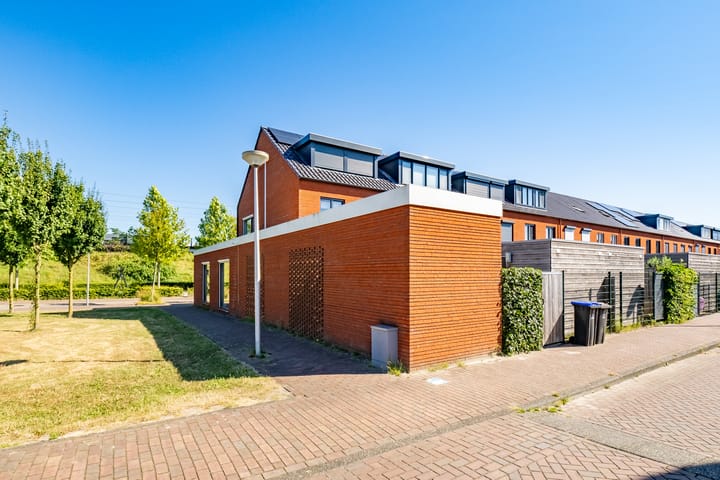 Foto 5 van Truffelzwam 1