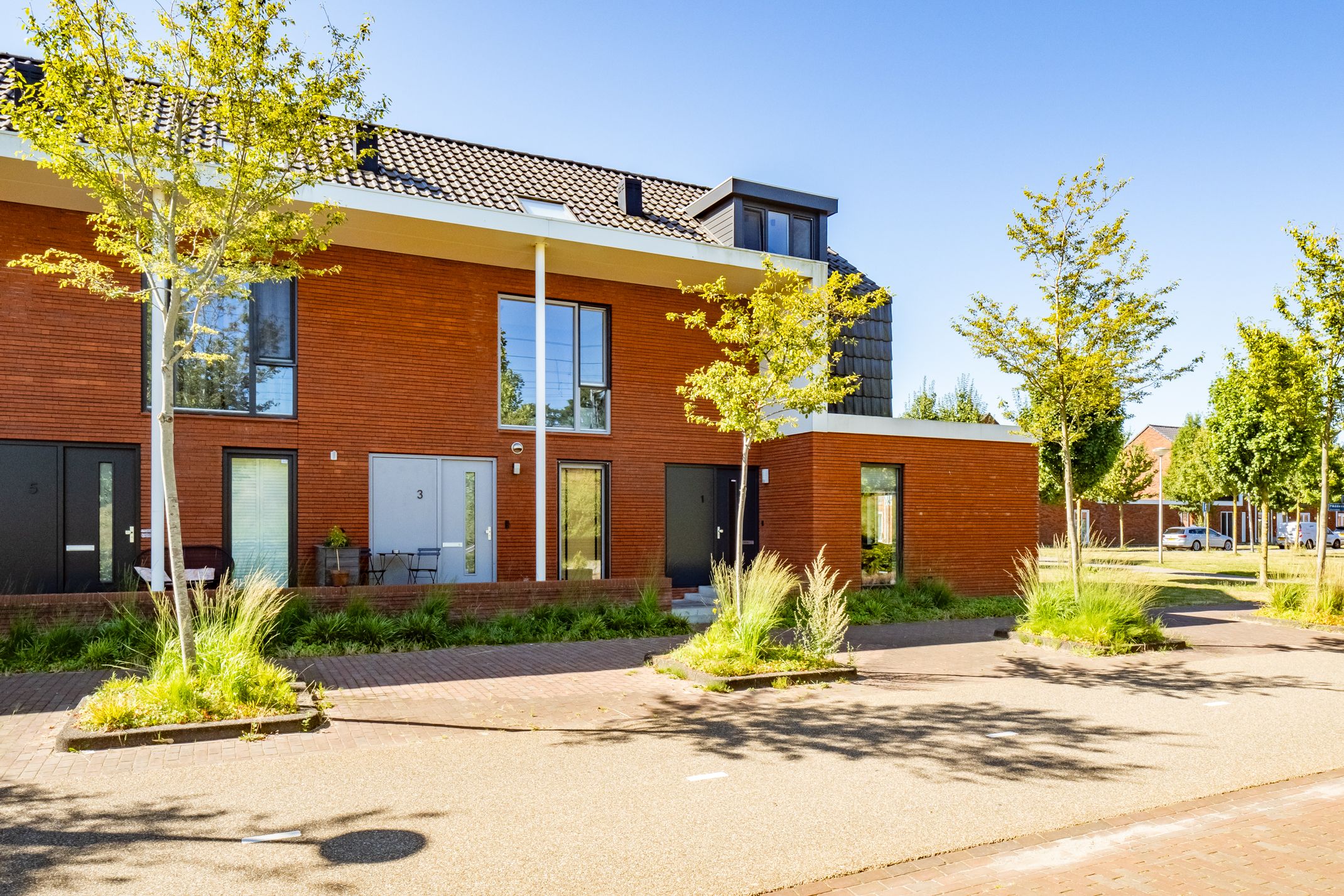 Foto 6 van Truffelzwam 1