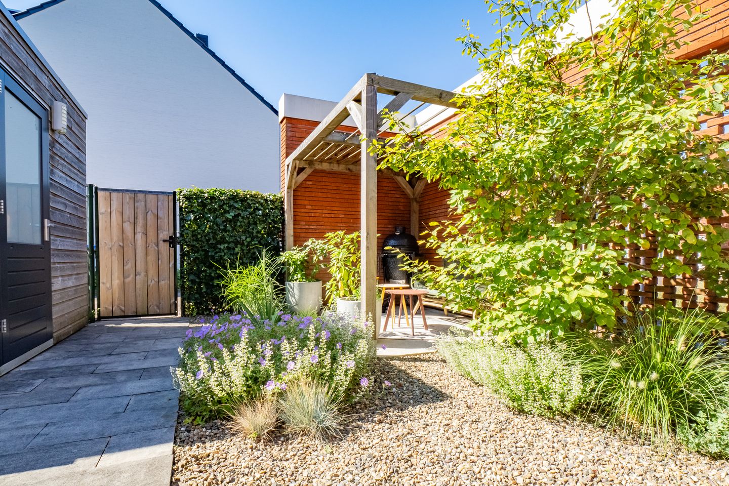 Foto 19 van Truffelzwam 1