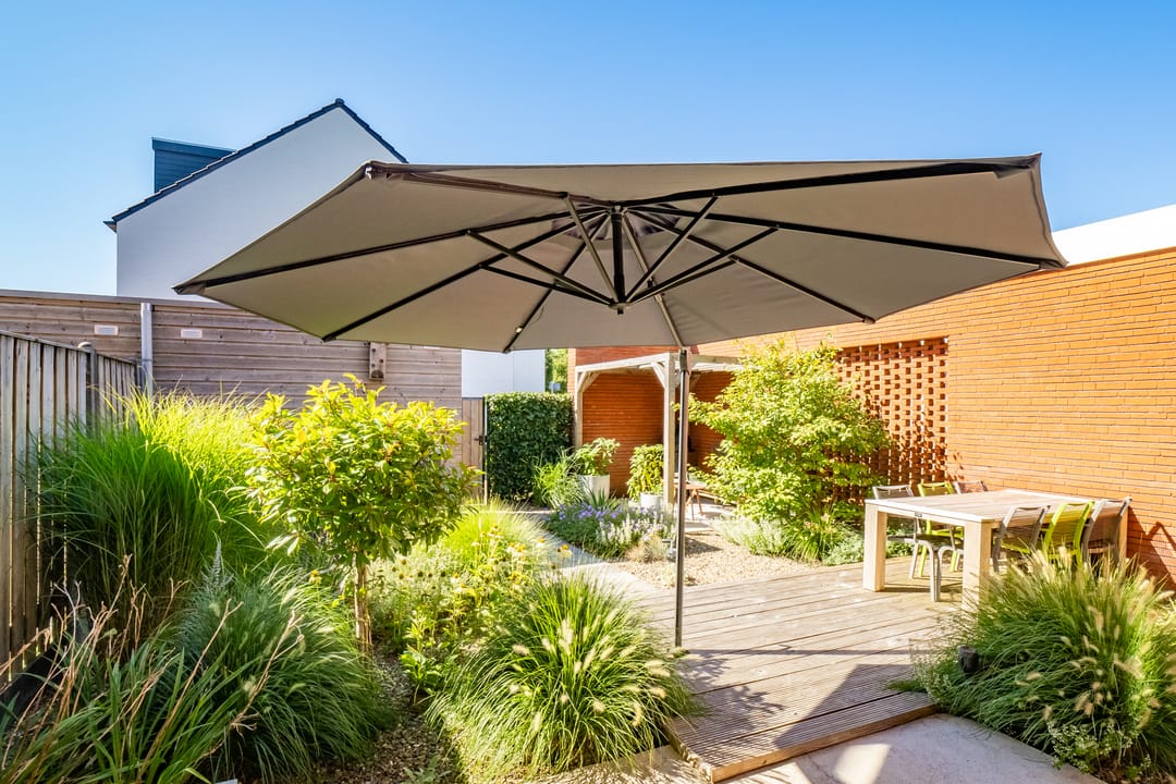 Foto 22 van Truffelzwam 1