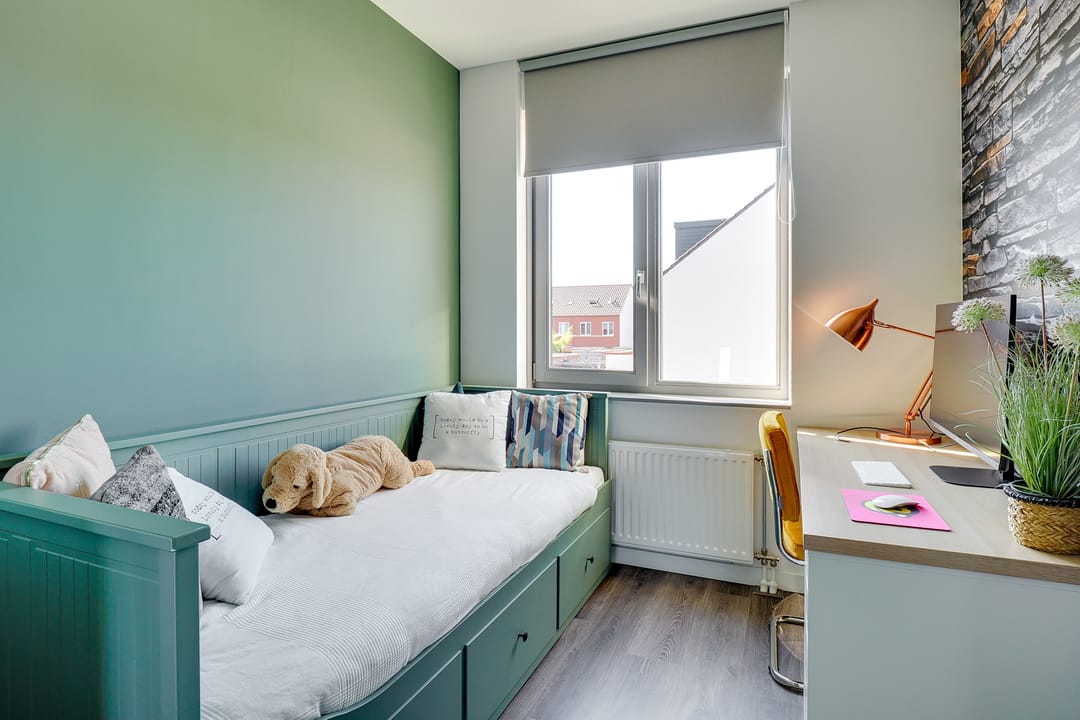 Foto 28 van Truffelzwam 1