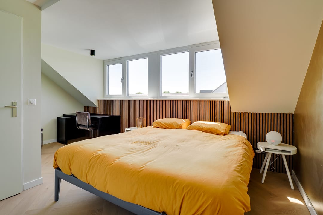 Foto 37 van Truffelzwam 1