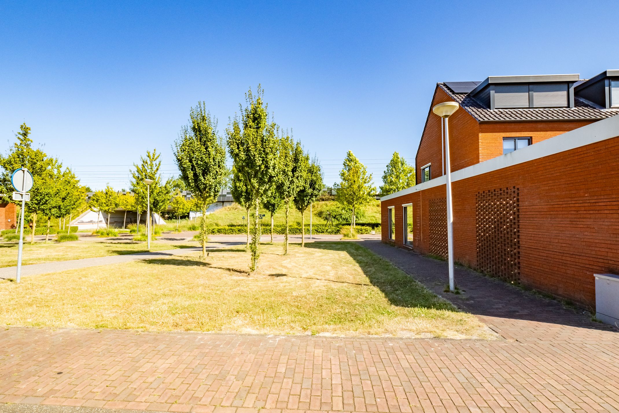 Foto 42 van Truffelzwam 1