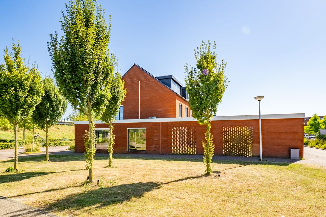 Foto 43 van Truffelzwam 1