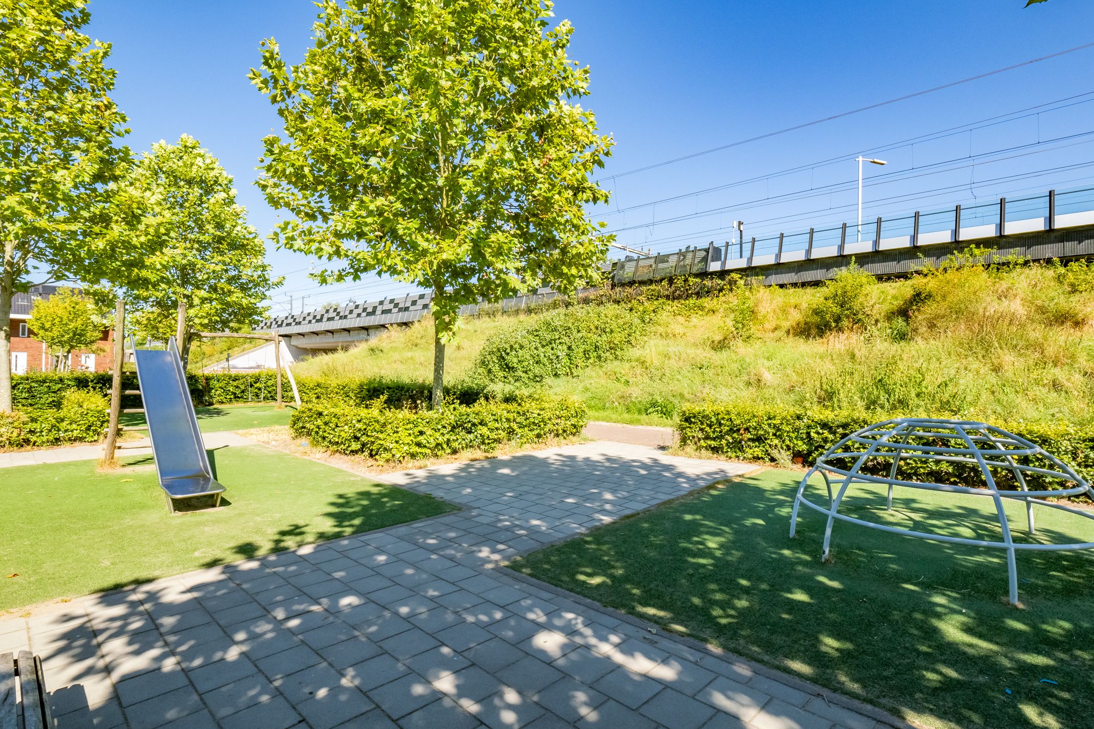 Foto 45 van Truffelzwam 1