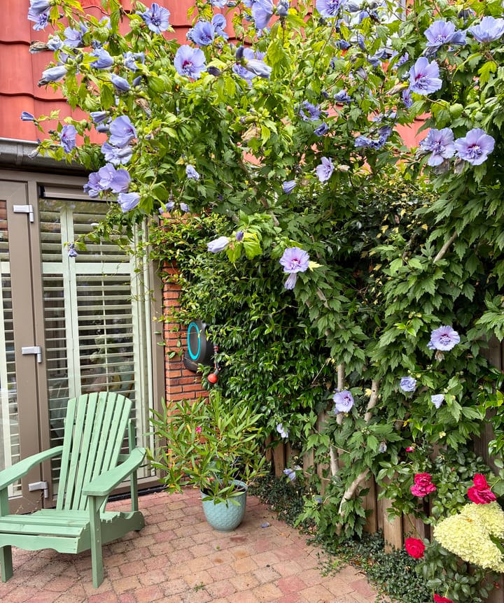 Foto 44 van Brederostraat 5