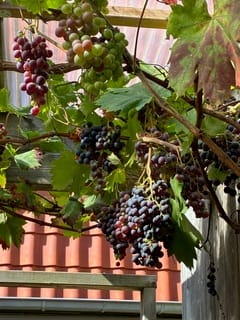 Foto 46 van Brederostraat 5