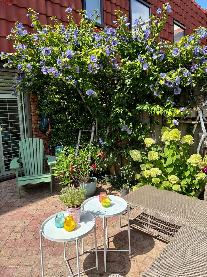 Foto 45 van Brederostraat 5