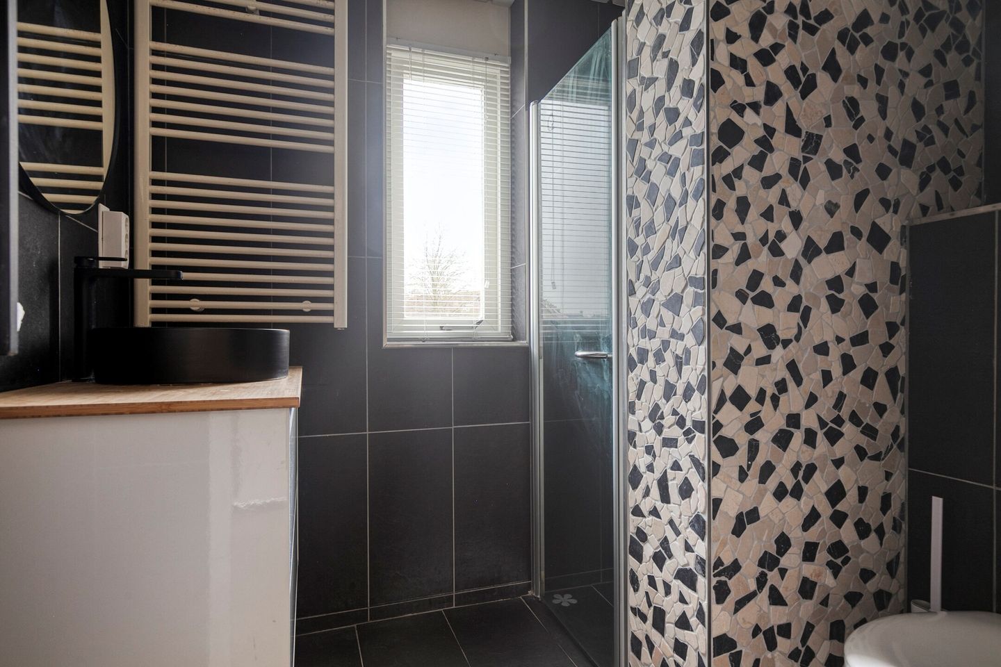 Photo 19 of Schokker 42