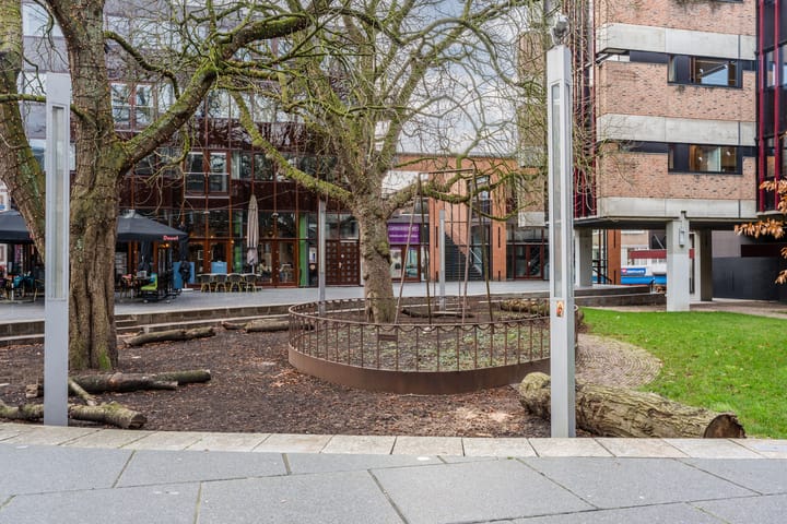 Foto 49 van Raadhuishof 25