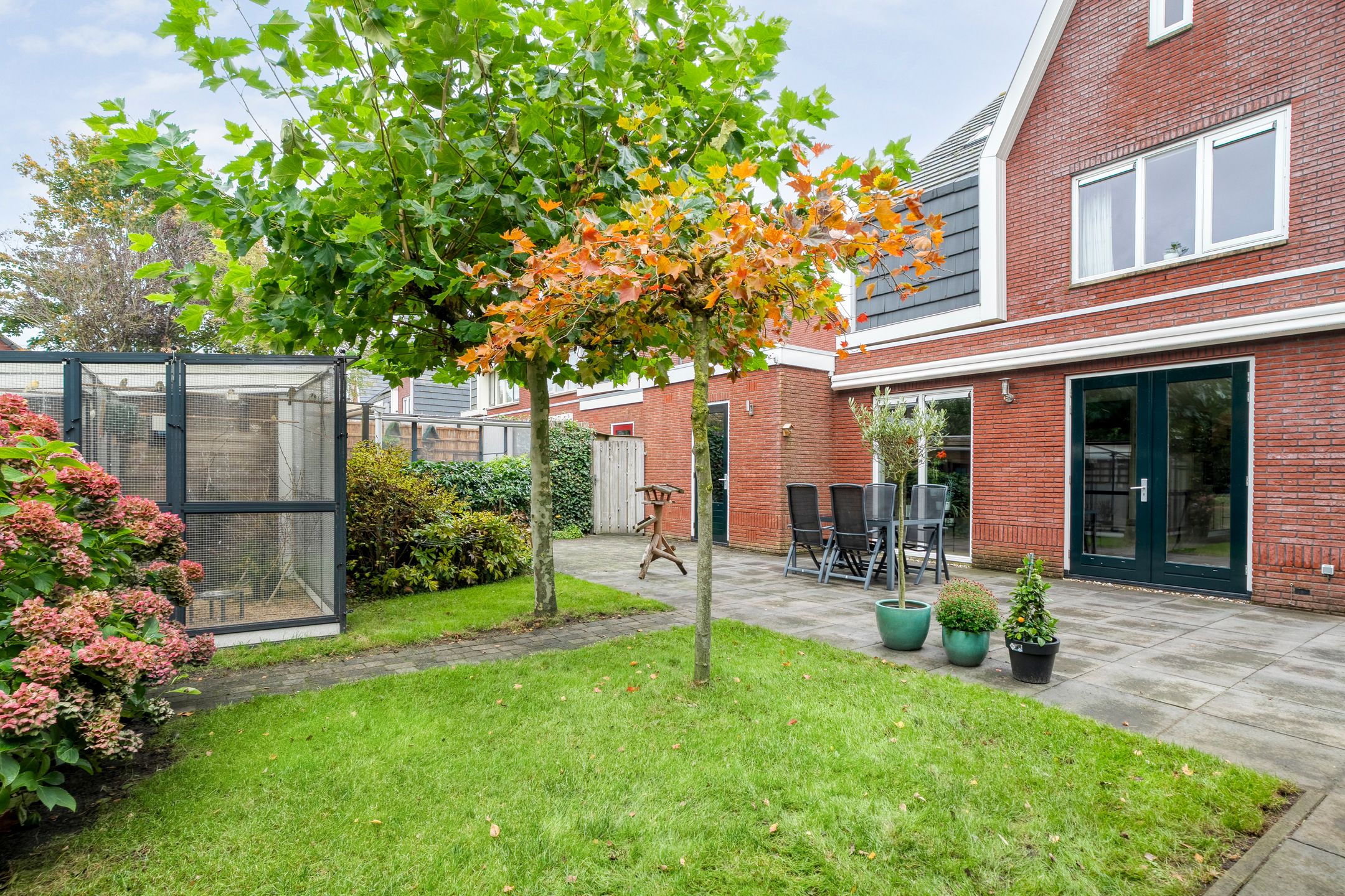 Foto 3 van Weegbree 17