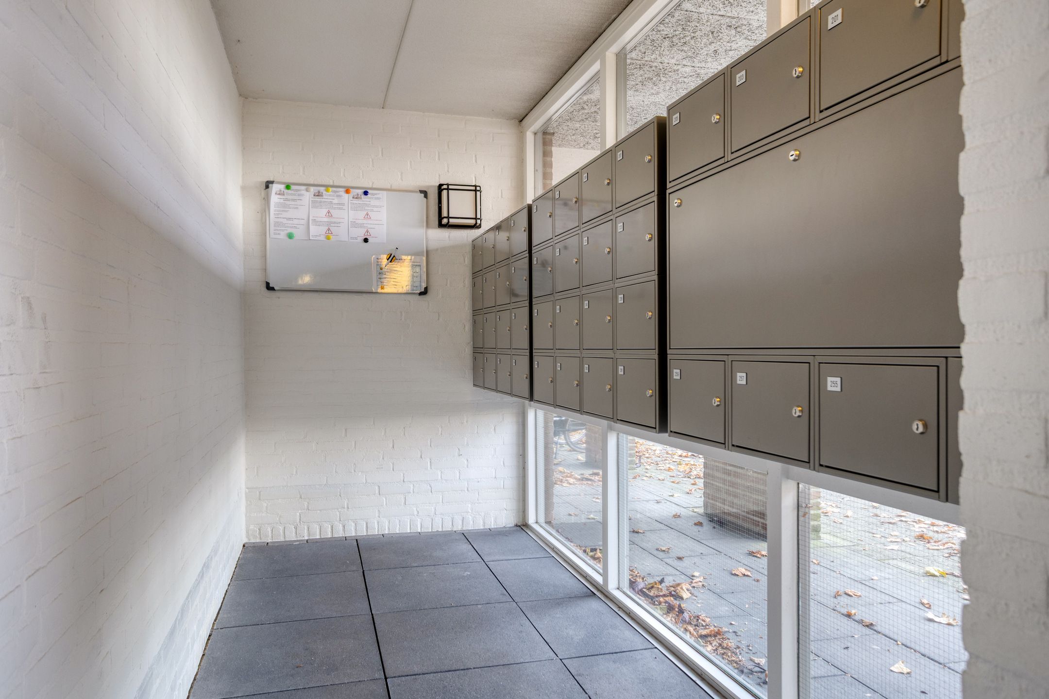 Photo 9 of Wilhelminastraat 205