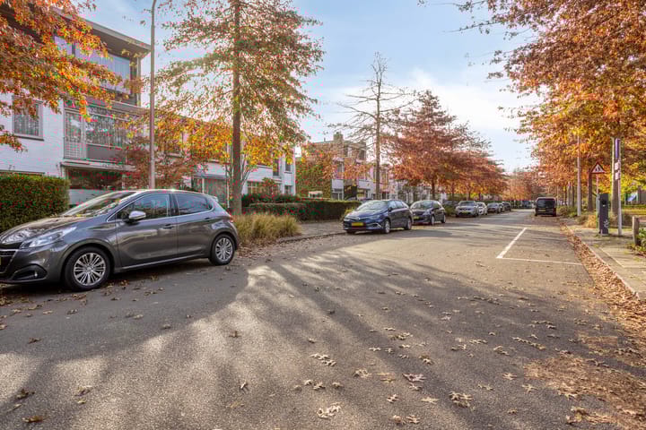 Foto 37 van Schout Backstraat 14