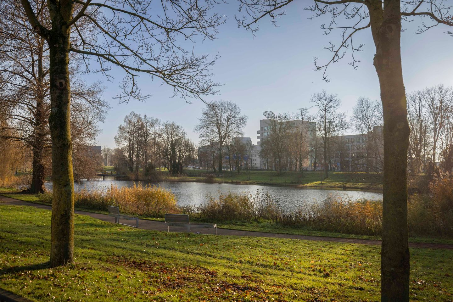 Foto 5 van Maasstraat 3