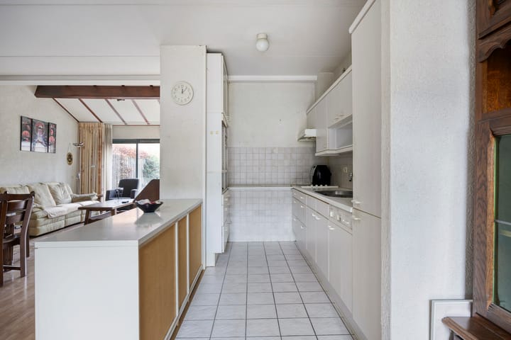 Photo 10 of de Leemput 50