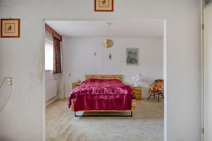 Photo 17 of de Leemput 50