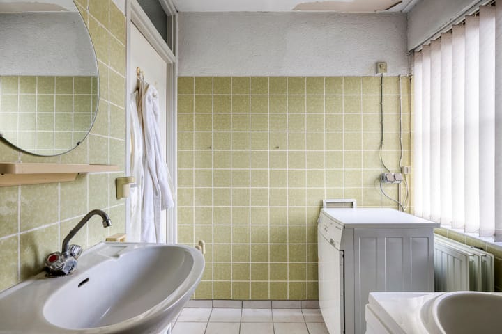 Photo 20 of de Leemput 50