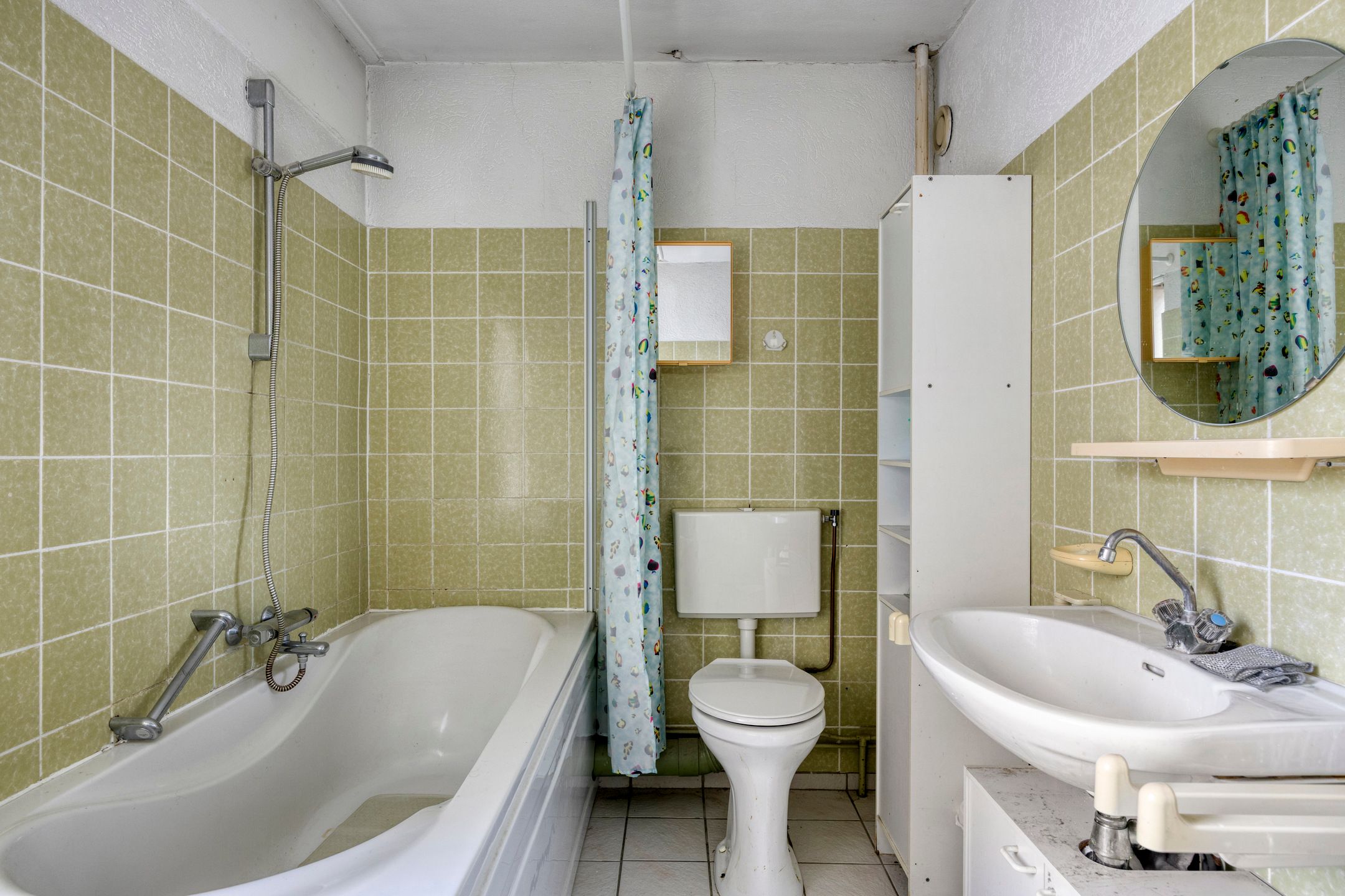 Photo 21 of de Leemput 50