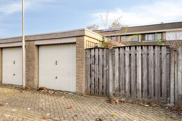 Photo 27 of de Leemput 50