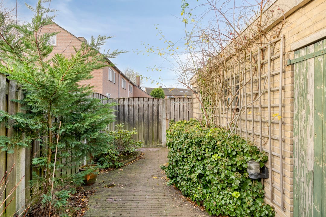 Photo 28 of de Leemput 50