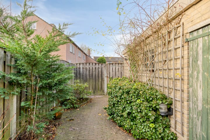 Photo 28 of de Leemput 50