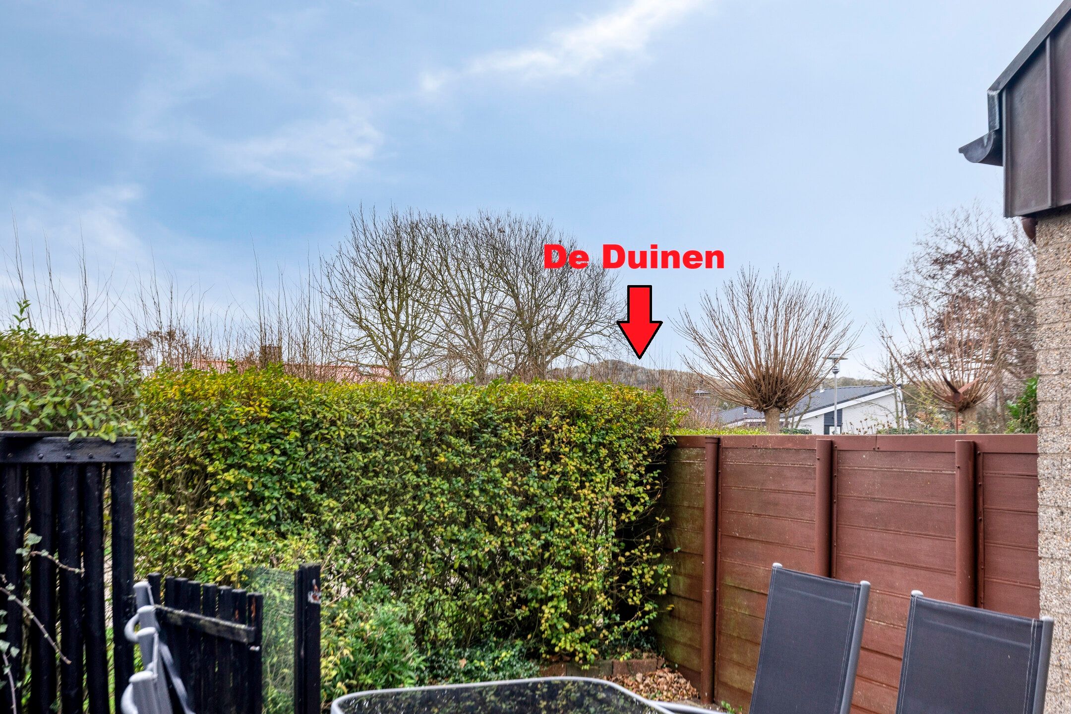 3-bedroom freehold villa in Zoutelande — photo 4 of 5