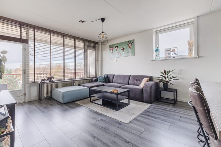 Foto 11 van Raamveld 117