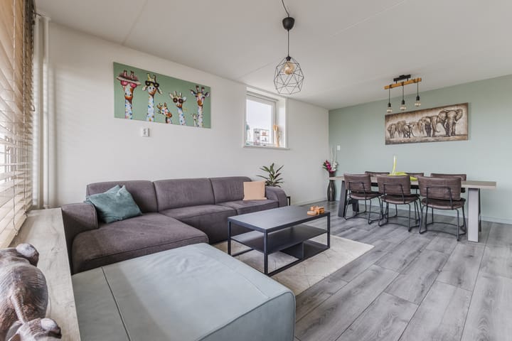 Foto 12 van Raamveld 117