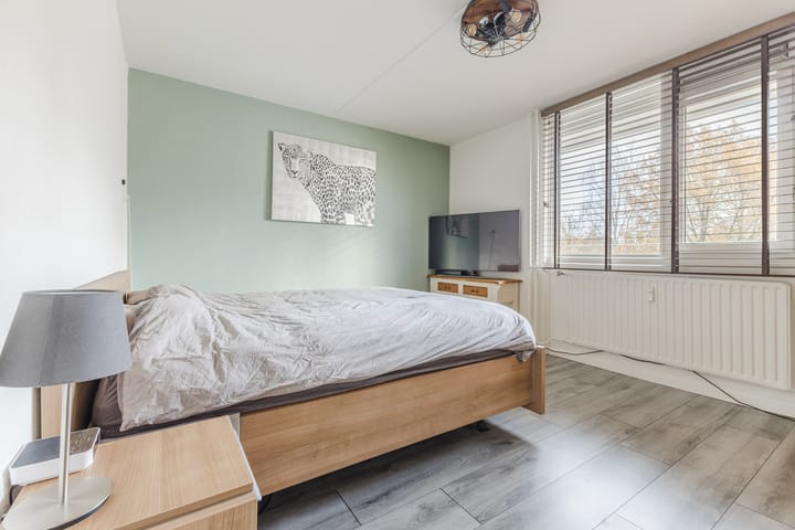 Foto 21 van Raamveld 117