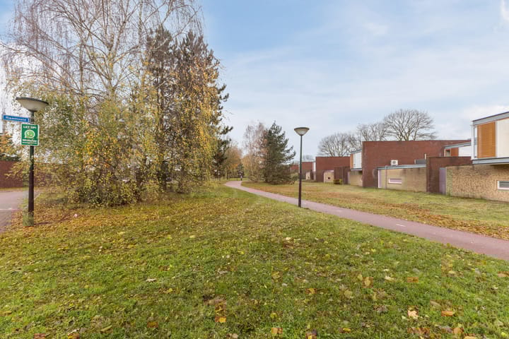 Foto 35 van Raamveld 117