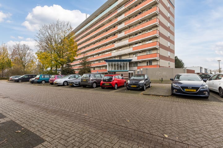 Foto 38 van Raamveld 117