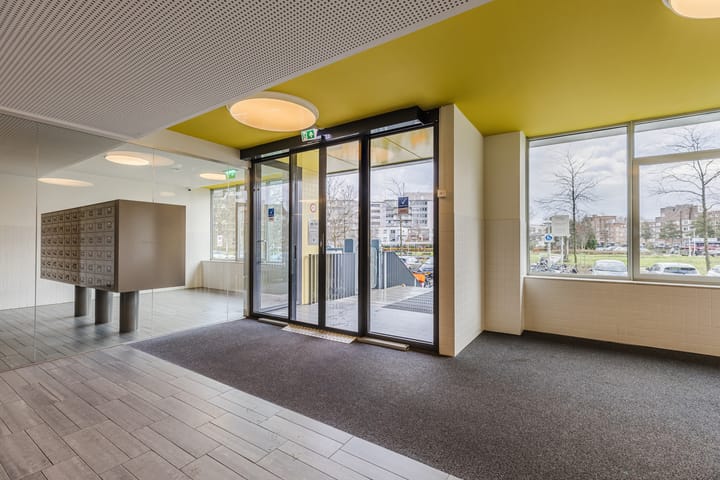 Photo 4 of Bos en Lommerplantsoen 109-N