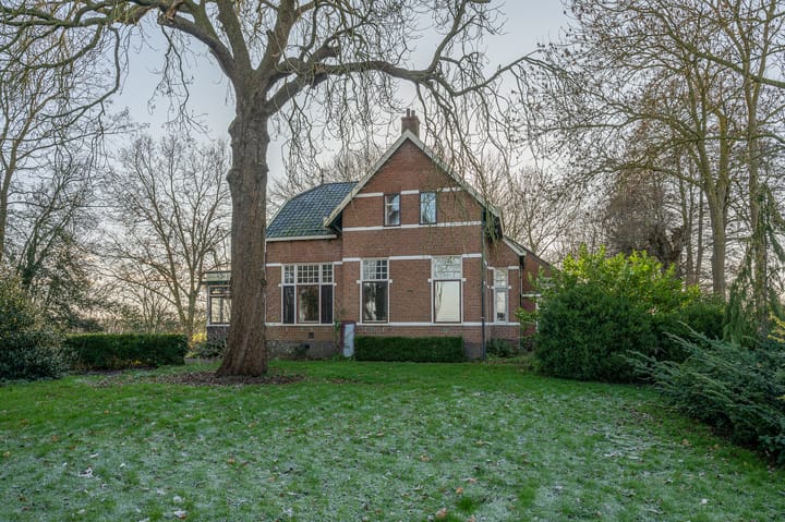 Goldhoorn 25 main image