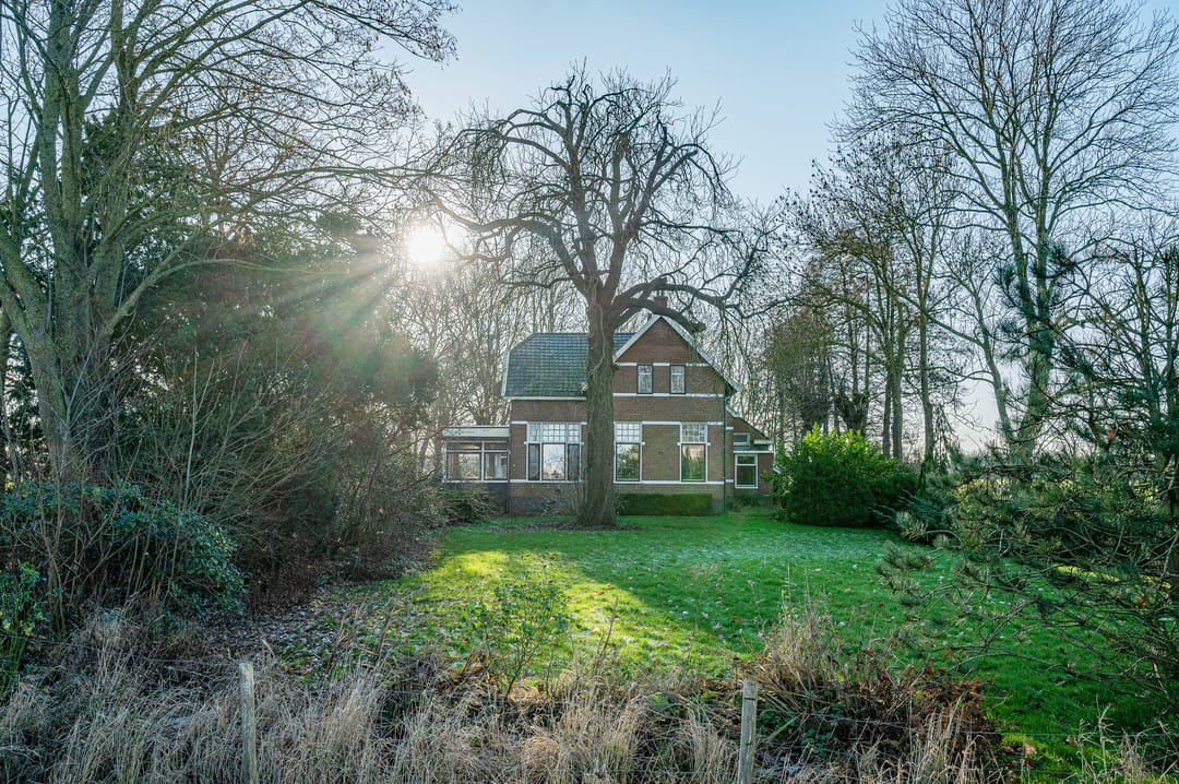 Foto 2 van Goldhoorn 25