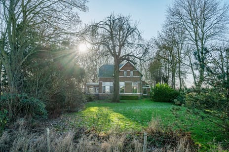 Goldhoorn 25 secondary image