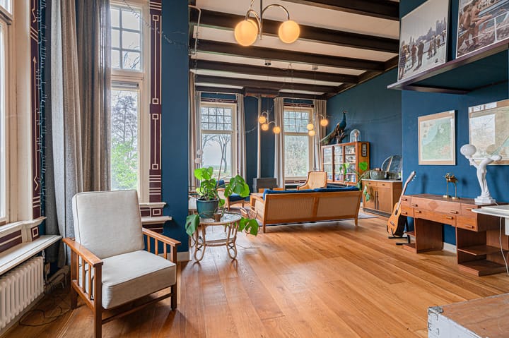 Foto 4 van Goldhoorn 25