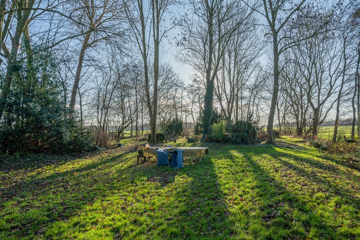 Foto 7 van Goldhoorn 25