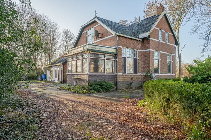 Foto 10 van Goldhoorn 25