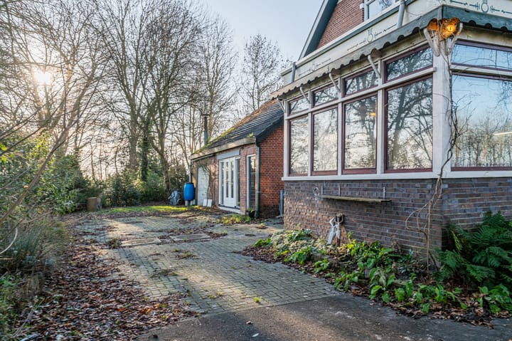 Foto 11 van Goldhoorn 25