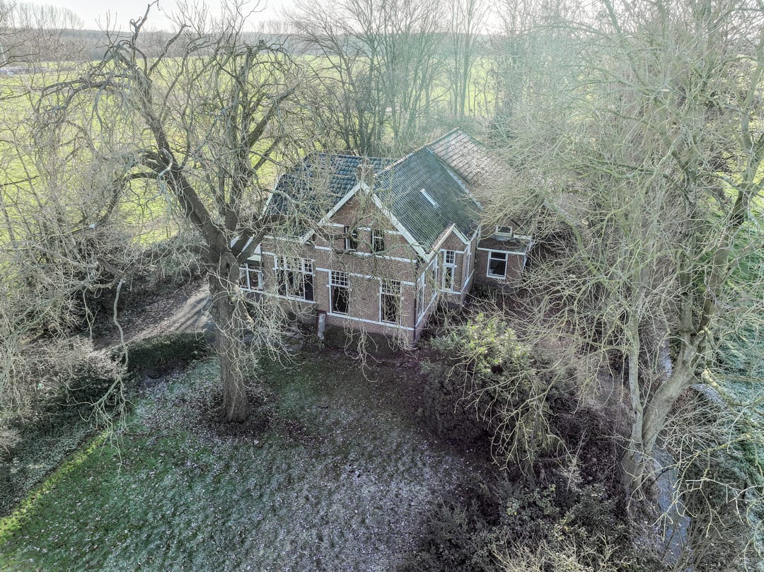 Foto 8 van Goldhoorn 25