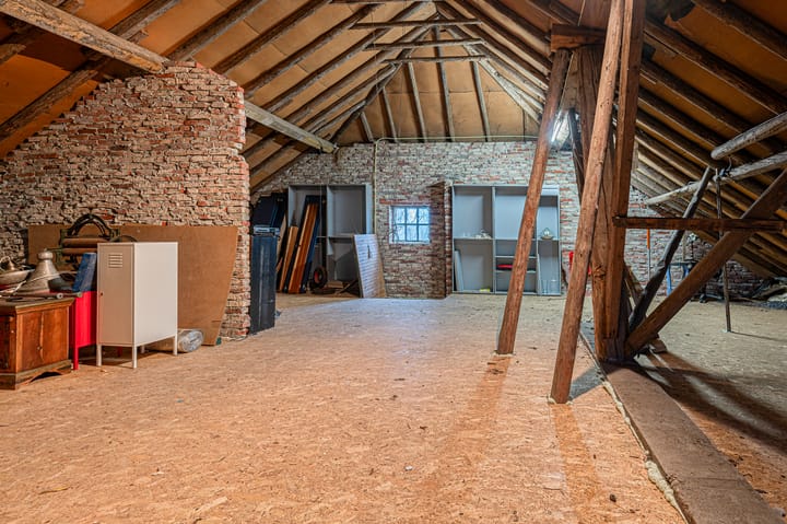 Foto 44 van Goldhoorn 25