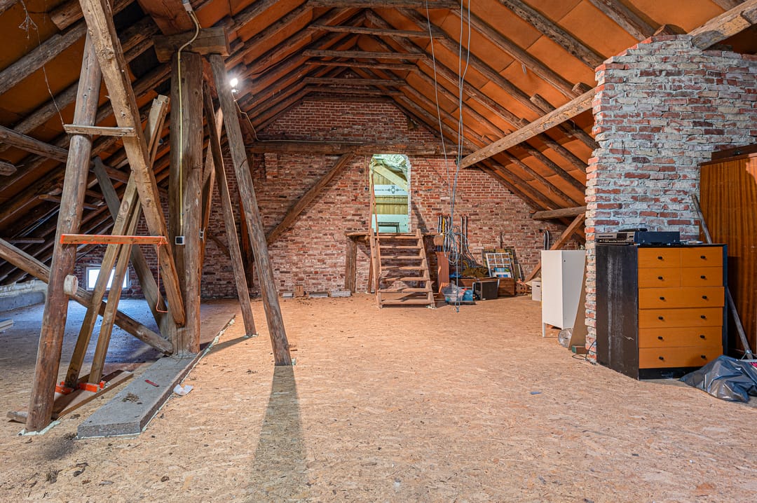 Foto 46 van Goldhoorn 25