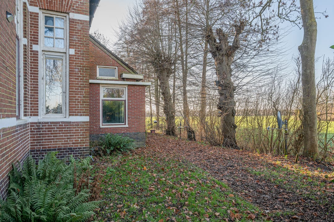 Foto 47 van Goldhoorn 25